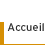 Retour  la page d'accueil